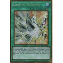 Coup de Tsukumo (Gold Secrète) [PGL3]