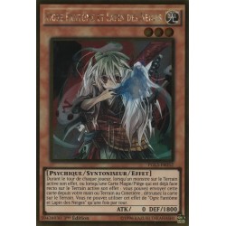 Ogre Fantôme et Lapin des Neiges (Gold Rare) [PGL3]