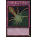 Force de Miroir Violente (Gold Rare) [PGL3]