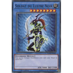 Soldat Du Lustre Noir (C) [YGLD]