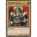 Gardien Celte (C) [YGLD]