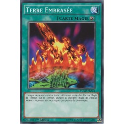 Terre Embrasée (C) [YGLD]