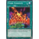 Terre Embrasée (C) [YGLD]