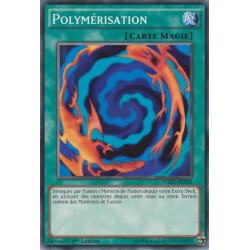 Polymérisation (V1) (C) [YGLD]