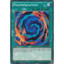Polymérisation (V1) (C) [YGLD]