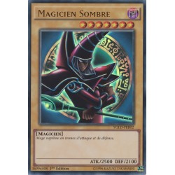 Magicien Sombre (V2) (UR) [YGLD]