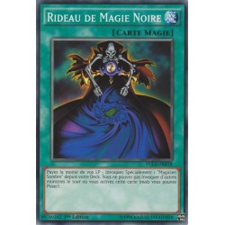 Rideau de Magie Noire (C) [YGLD]