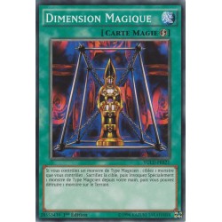 Dimension Magique (C) [YGLD]