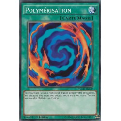 Polymérisation (V2) (C) [YGLD]