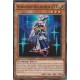 Spadassin Silencieux LV3 (C) [YGLD]