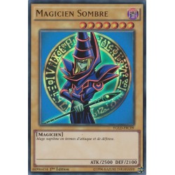 Magicien Sombre (V3) (UR) [YGLD]