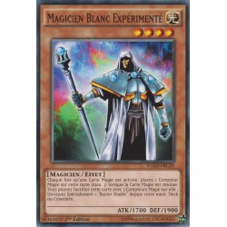 Magicien Blanc Expérimenté (C) [YGLD]