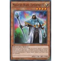 Magicien Blanc Expérimenté (C) [YGLD]