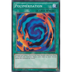 Polymérisation (V3) (C) [YGLD]
