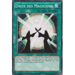 Unité Des Magiciens (C) [YGLD]