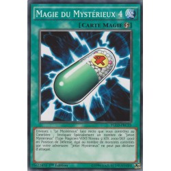 Magie Du Mystérieux 4 (C) [YGLD]