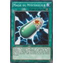 Magie Du Mystérieux 4 (C) [YGLD]