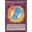 Aide d'Urgence Potartiste (C) [YS16]