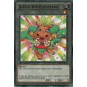 Jeton Hippopotame (V1) (C) [YS16]
