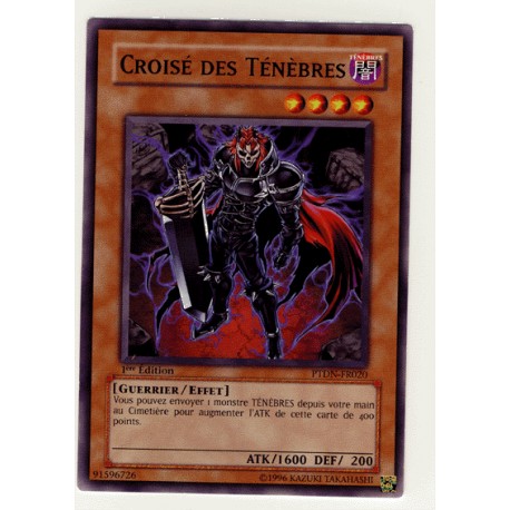 Croisé des Ténèbres (C)