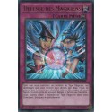 Défense Des Magiciens (UR) [MVP1]