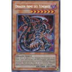 Dragon Armé des Ténèbres (STR)