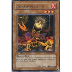 Floraison de Feu (R)