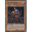 Métabo Blob (R) [PTDN]