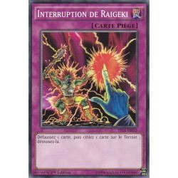 Interruption De Raigeki (C) [YS14]