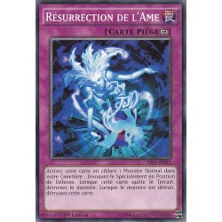 Résurrection De L'Ame (C) [YS14]