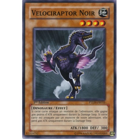 Velociraptor Noir (C)