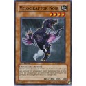 Velociraptor Noir (C) [PTDN]