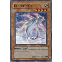 Exocet d'Or (SR)