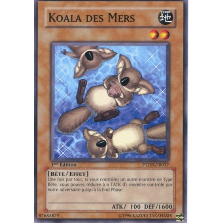 Koala des Mers (C)