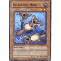 Koala des Mers (C) [PTDN]