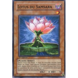Lotus du Samsara (C)