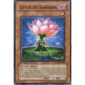 Lotus du Samsara (C) [PTDN]