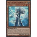 Magicien Silencieux (UR) [DPRP]