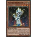 Magicien Silencieux LV4 (C) [DPRP]