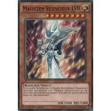 Magicien Silencieux LV8 (C) [DPRP]