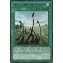 Sanctuaire du Dragon (R) [DPRP]