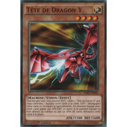 Tête De Dragon Y (C) [SDKS]