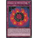 Anneau De Destruction (C) [SDKS]