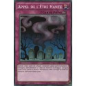 Appel De L'être Hanté (C) [SDKS]