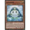Kuribohrn (C) [SDMY]