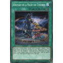 Héritage de la Magie des Ténèbres (C) [SDMY]