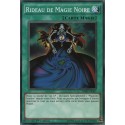 Rideau de Magie Noire (C) [SDMY]