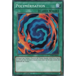 Polymérisation (C) [SDMY]