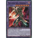 Paladin des Ténèbres (C) [SDMY]