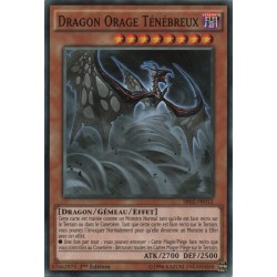 Dragon Orage Ténébreux (C) [SR02]